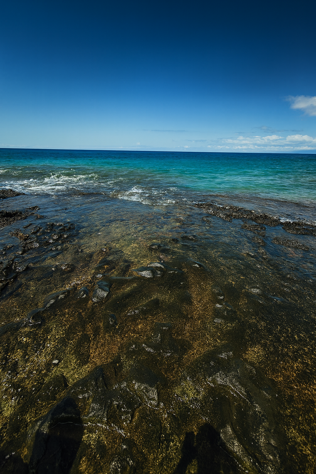 Photo by Harris Campbell