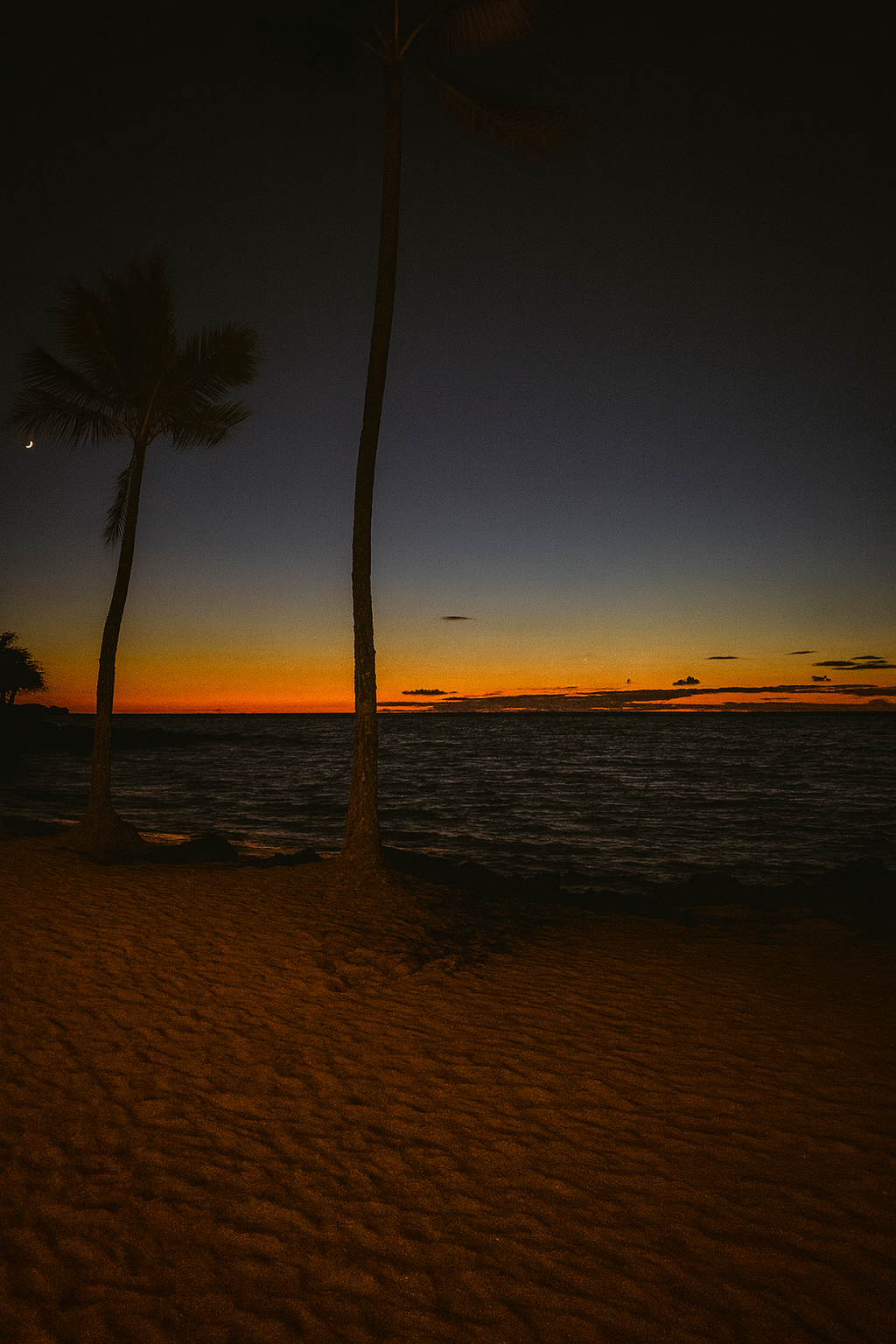 Photo by Harris Campbell