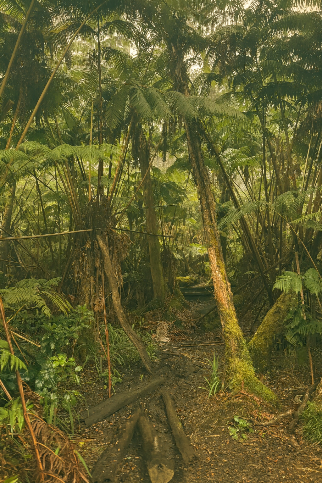 Photo by Harris Campbell