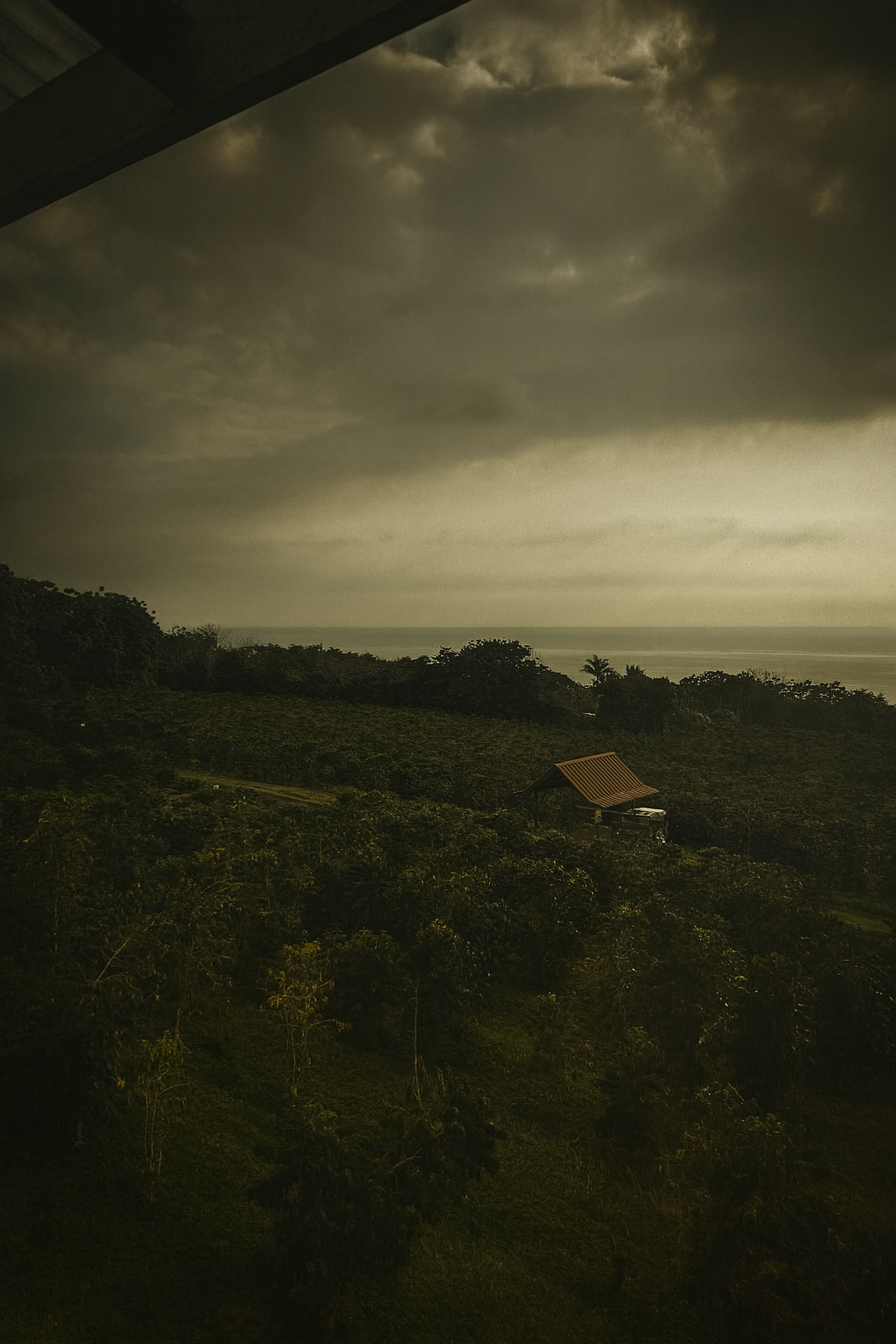 Photo by Harris Campbell