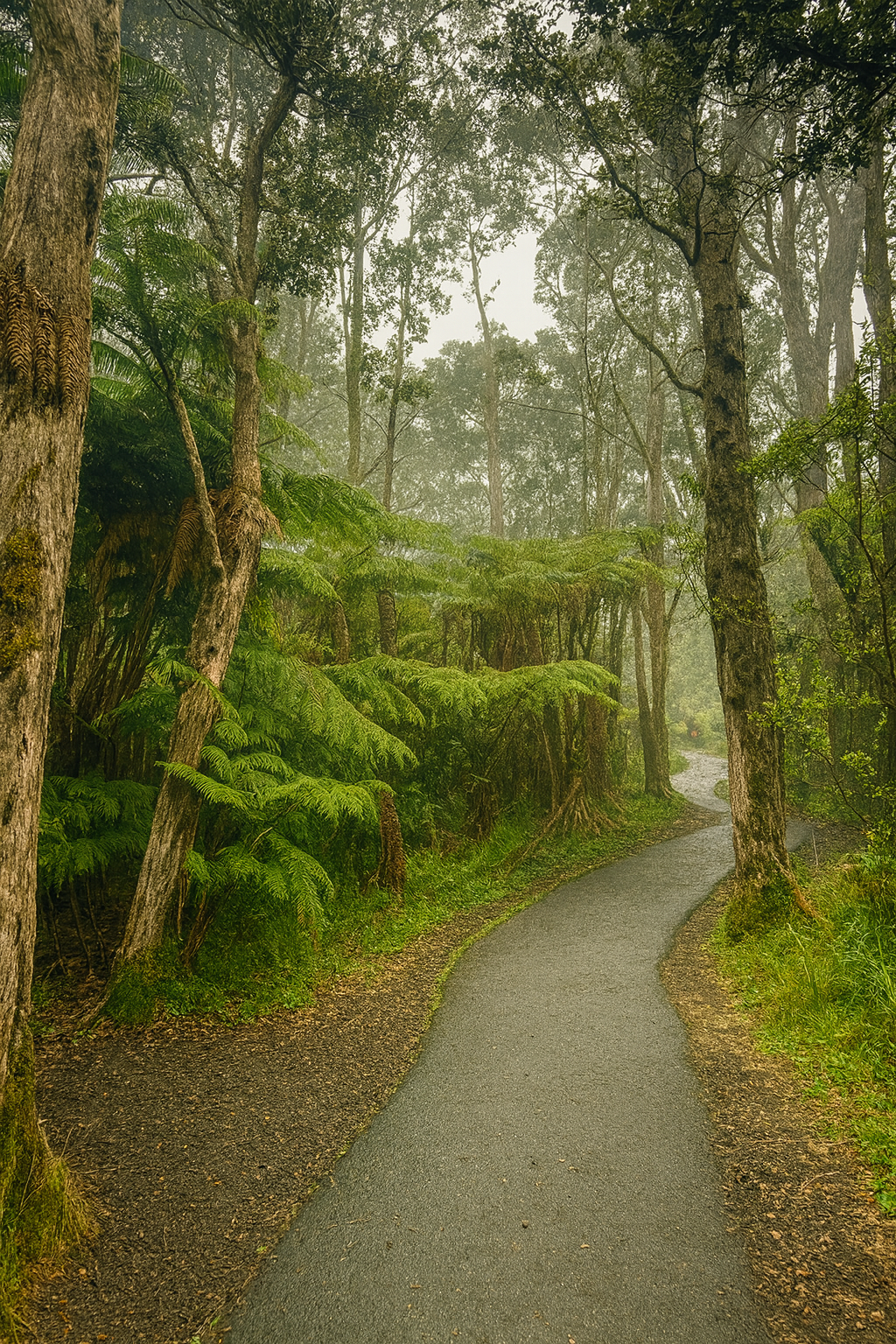 Photo by Harris Campbell