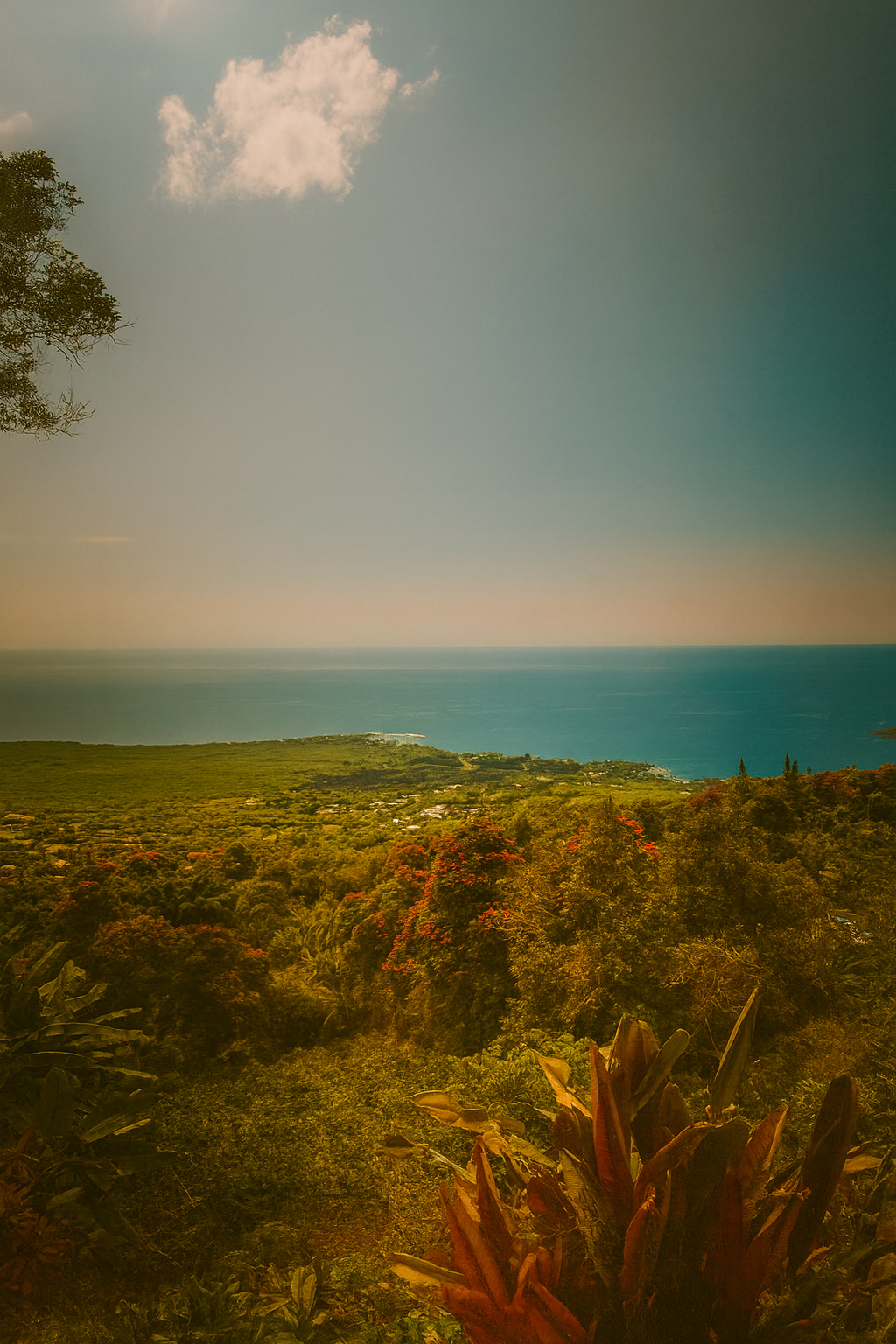 Photo by Harris Campbell