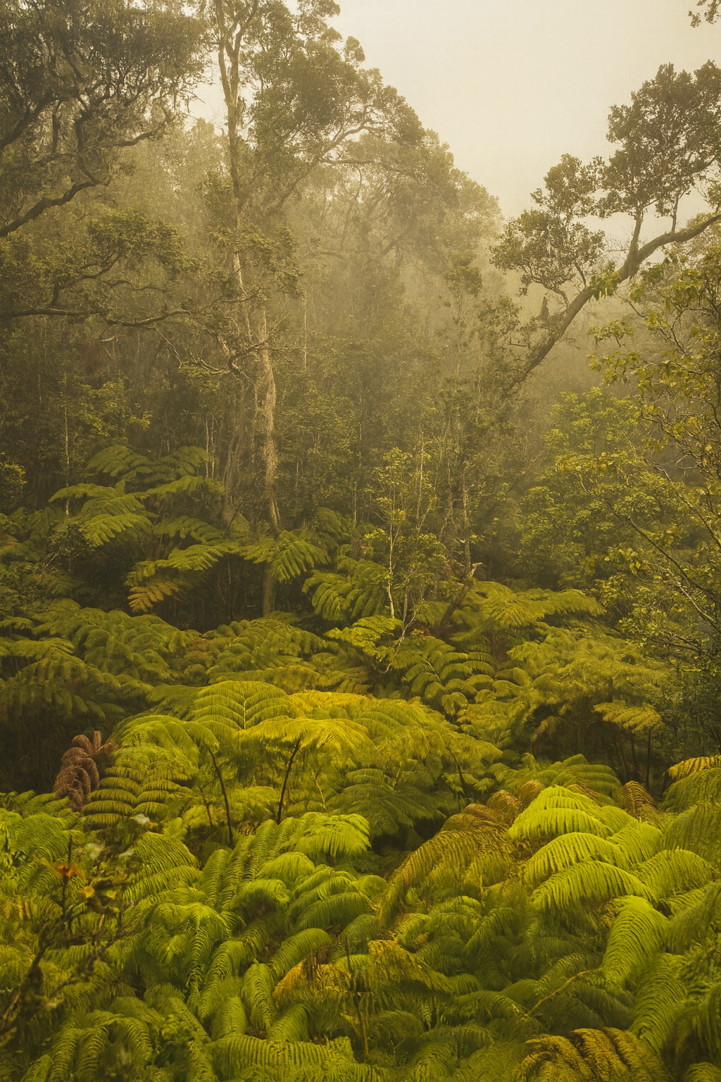 Photo by Harris Campbell