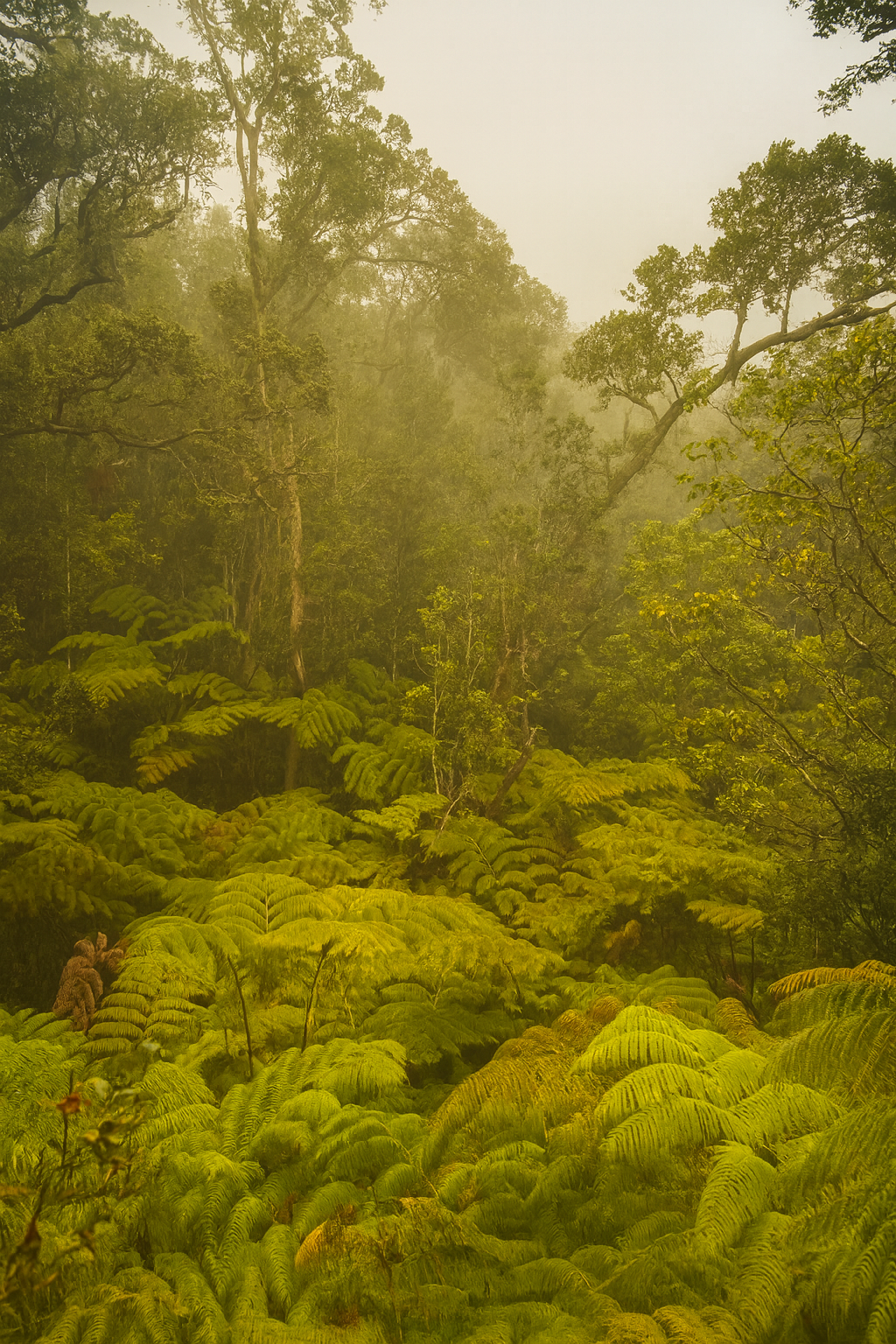 Photo by Harris Campbell