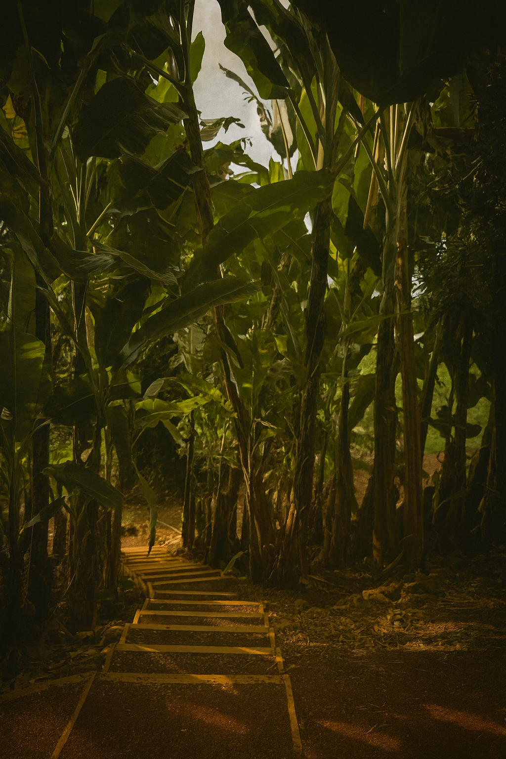 Photo by Harris Campbell