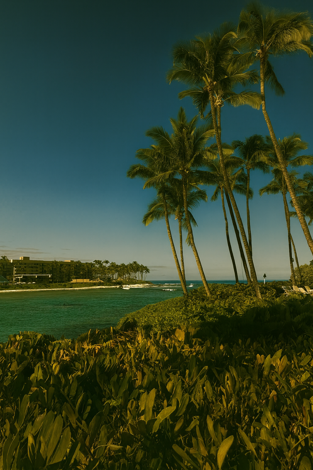 Photo by Harris Campbell