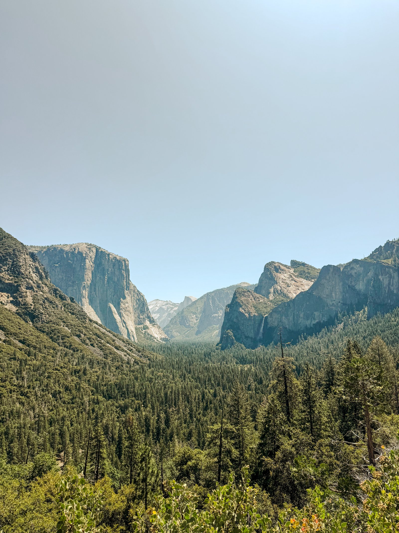 Photo by Harris Campbell