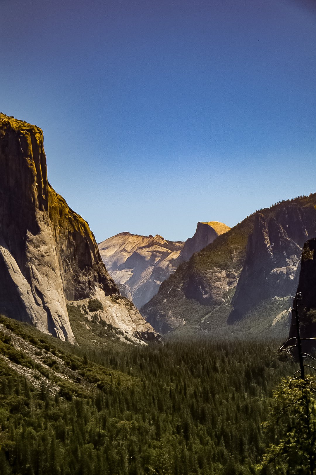 Photo by Harris Campbell