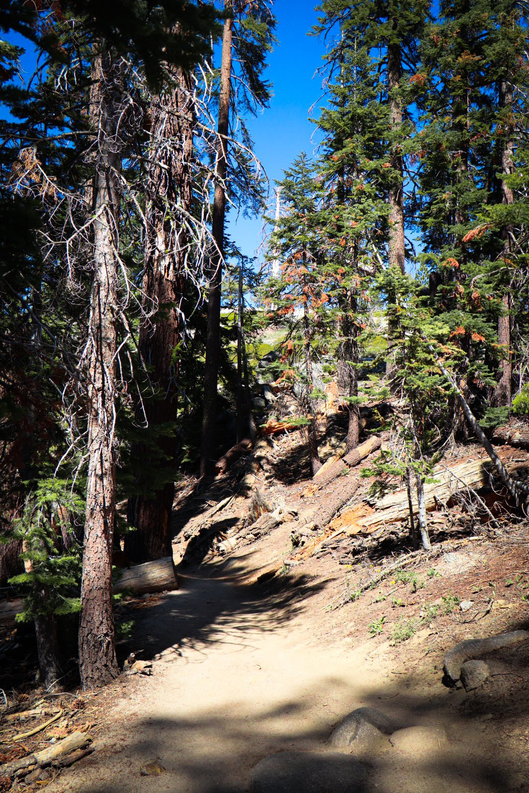 Photo by Harris Campbell