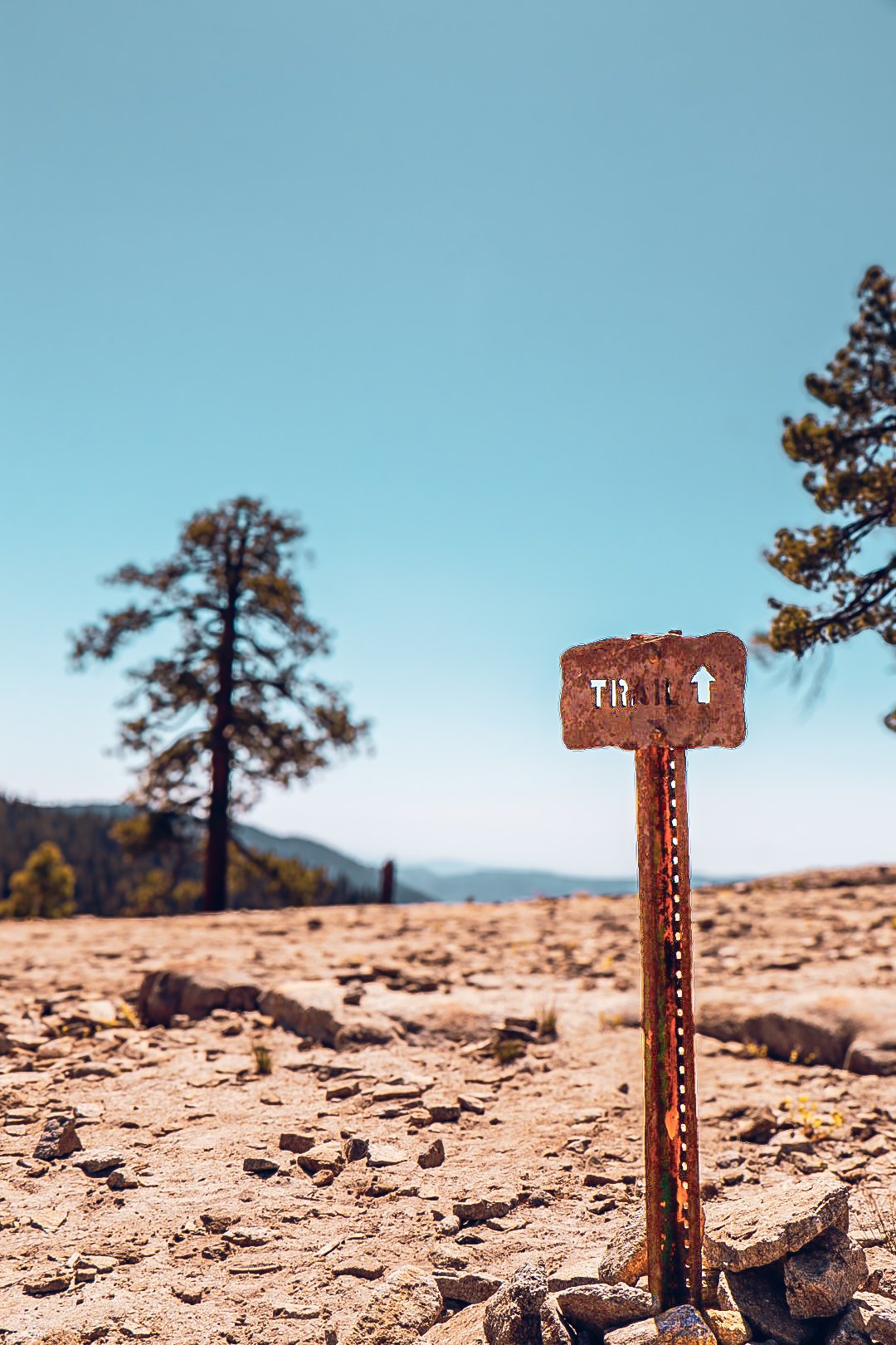 Photo by Harris Campbell