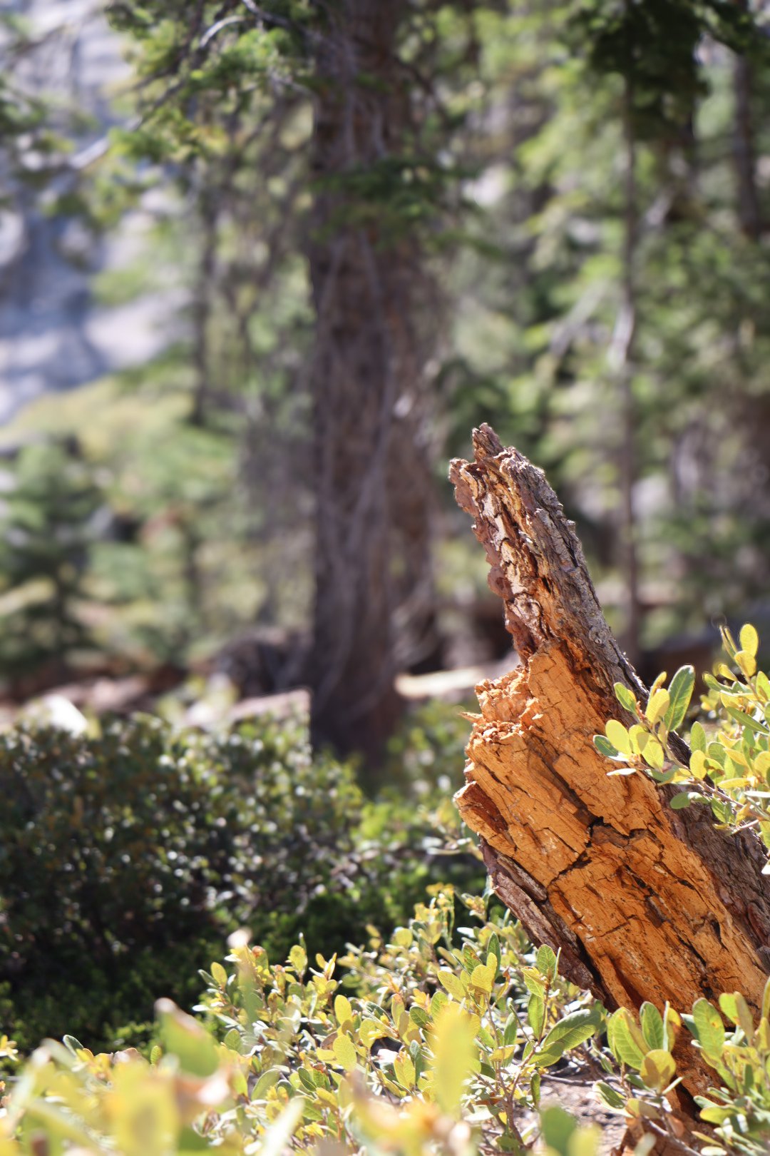 Photo by Harris Campbell