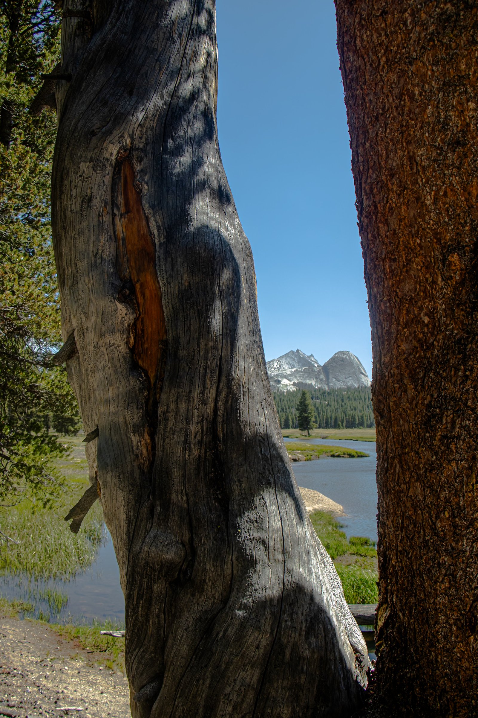 Photo by Harris Campbell