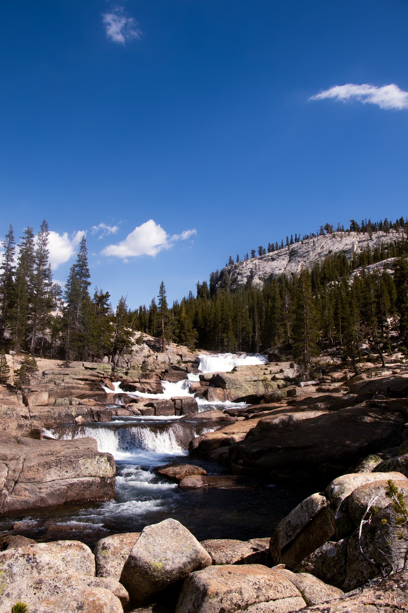 Photo by Harris Campbell