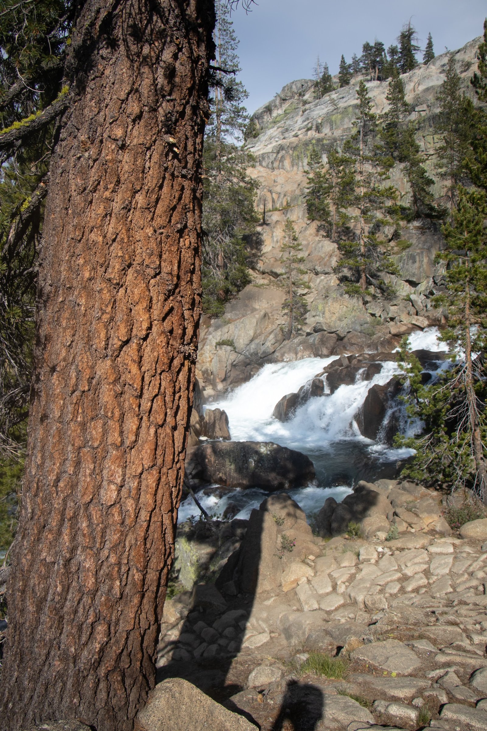 Photo by Harris Campbell