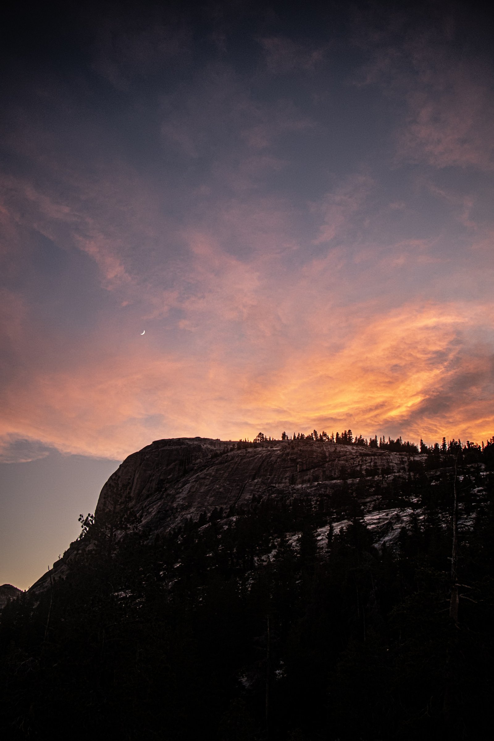 Photo by Harris Campbell