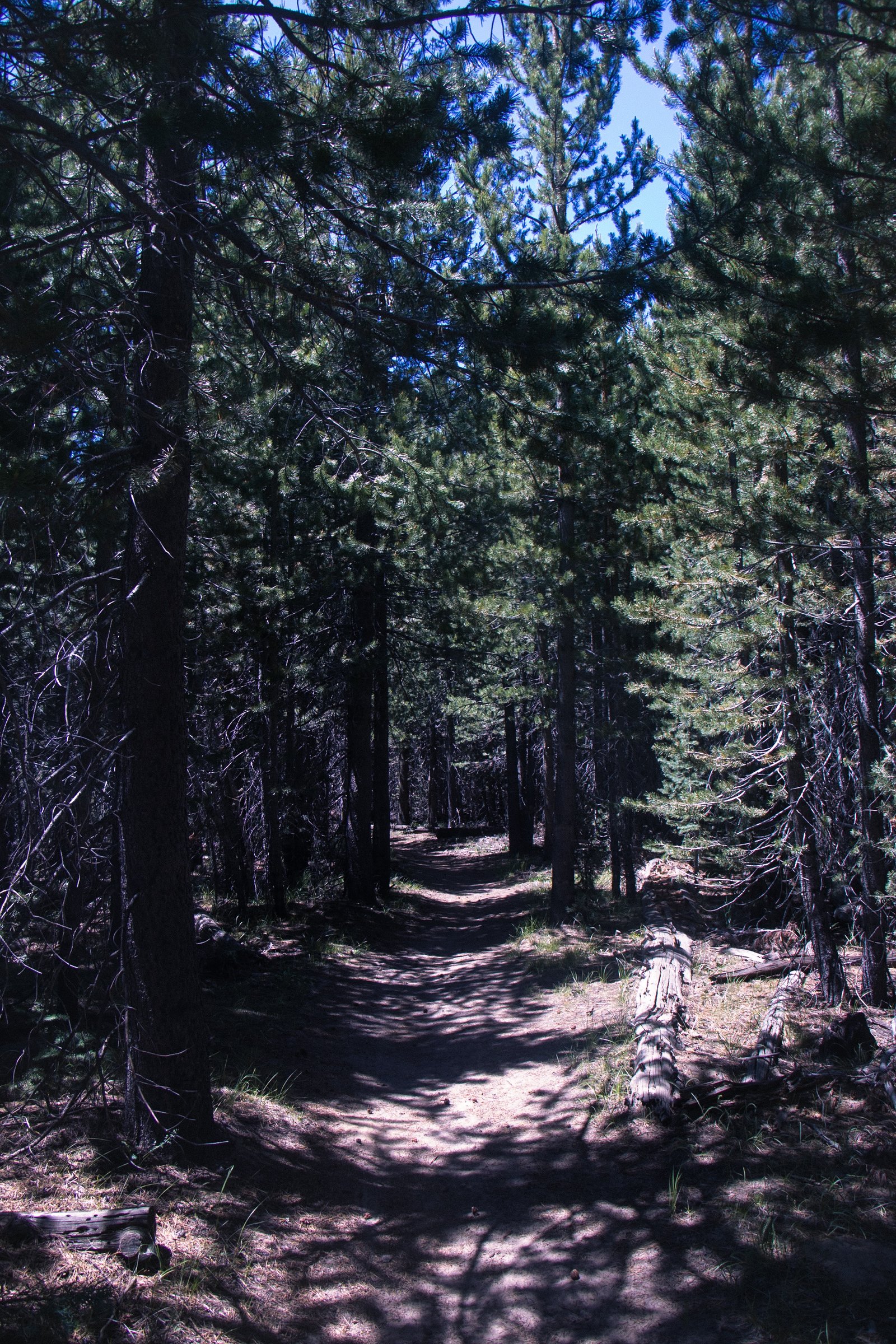 Photo by Harris Campbell