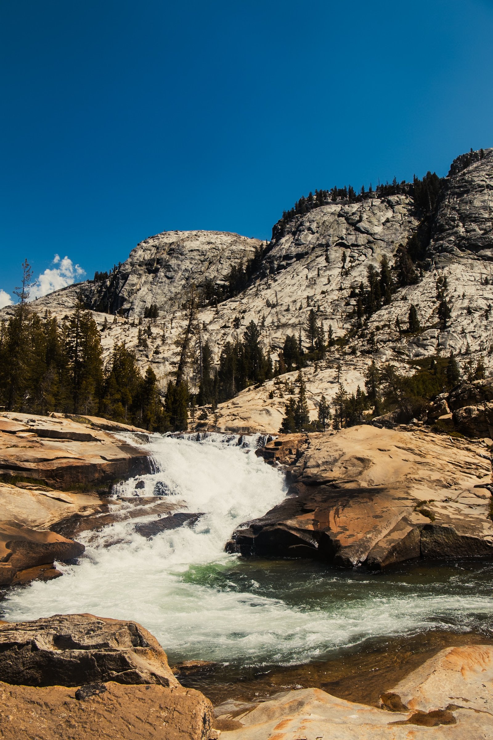 Photo by Harris Campbell