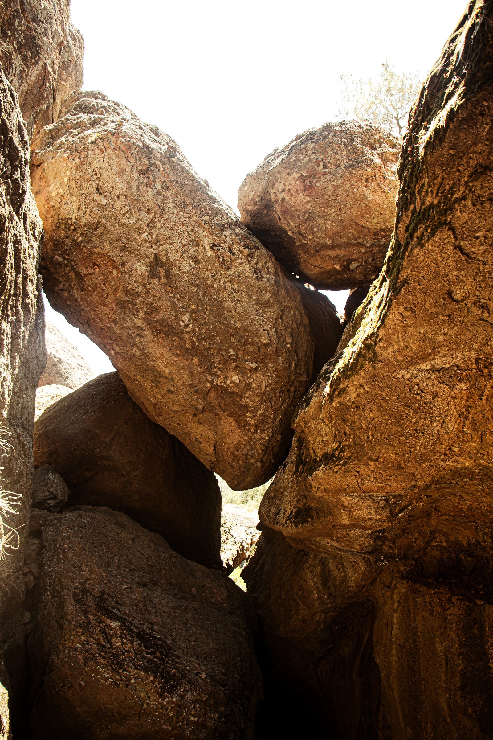 Photo by Harris Campbell