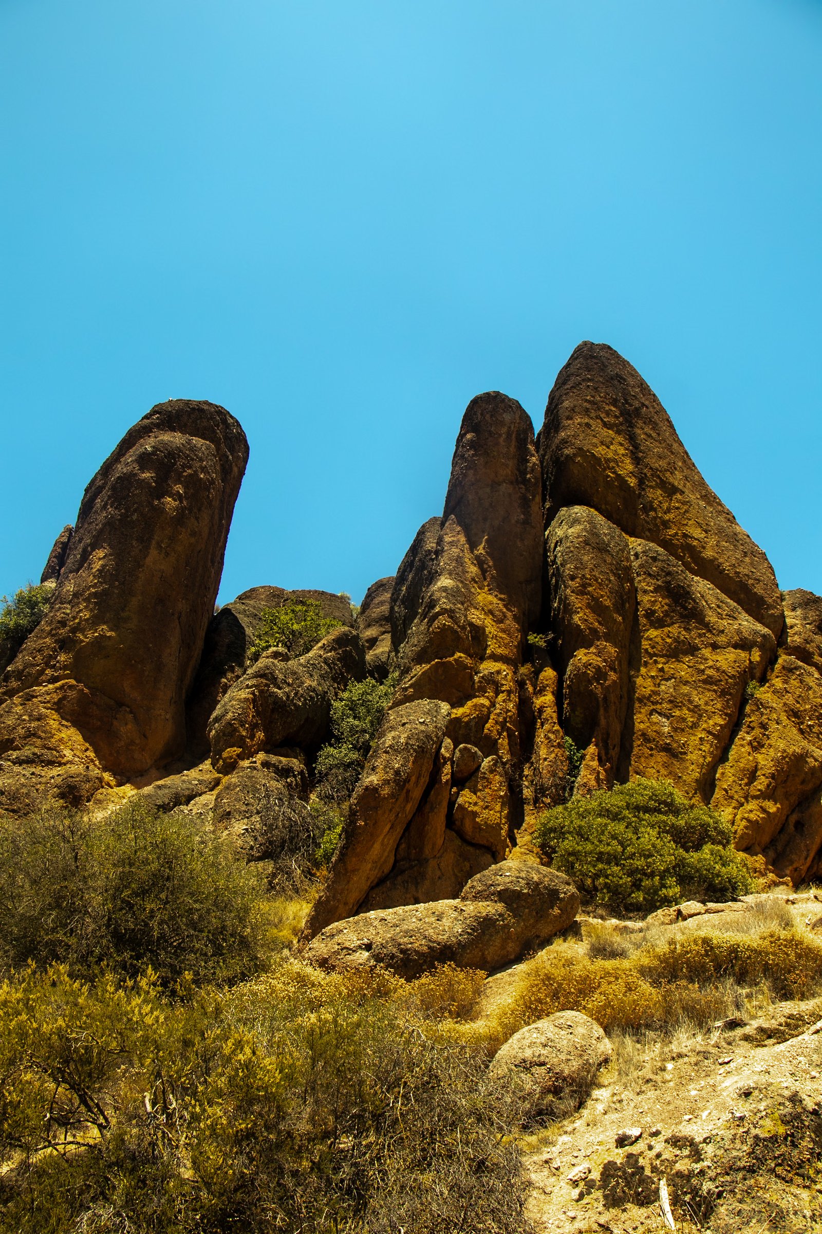 Photo by Harris Campbell