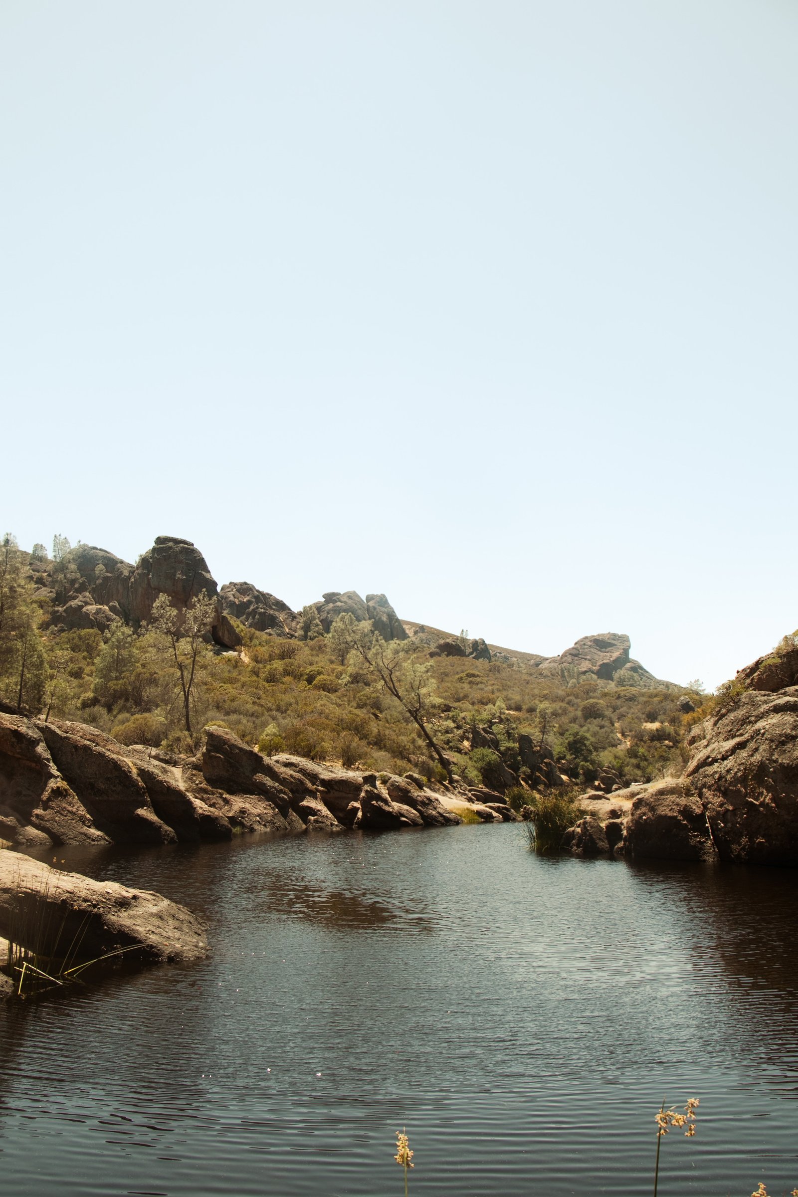 Photo by Harris Campbell