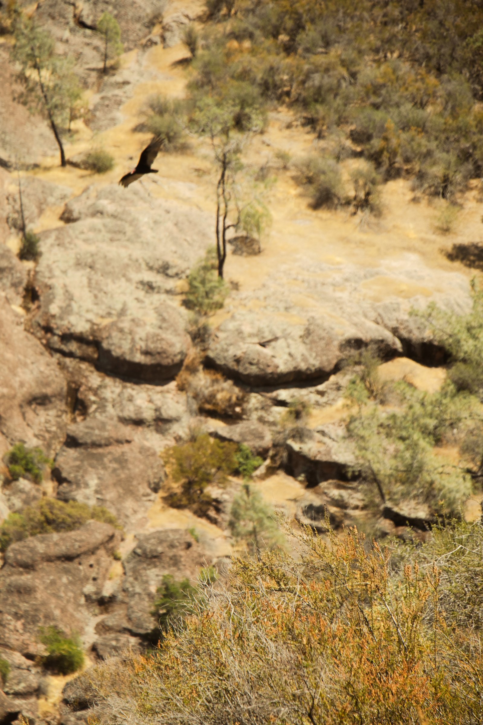 Photo by Harris Campbell