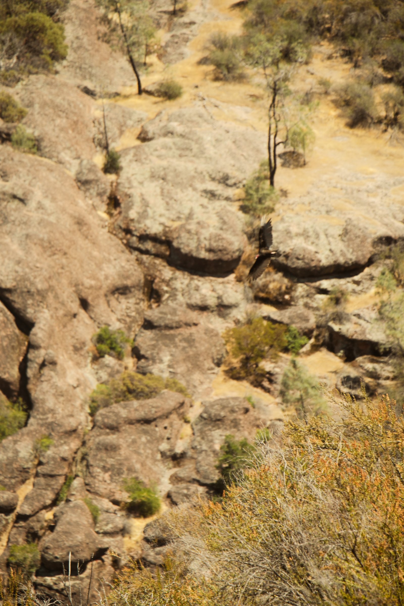 Photo by Harris Campbell