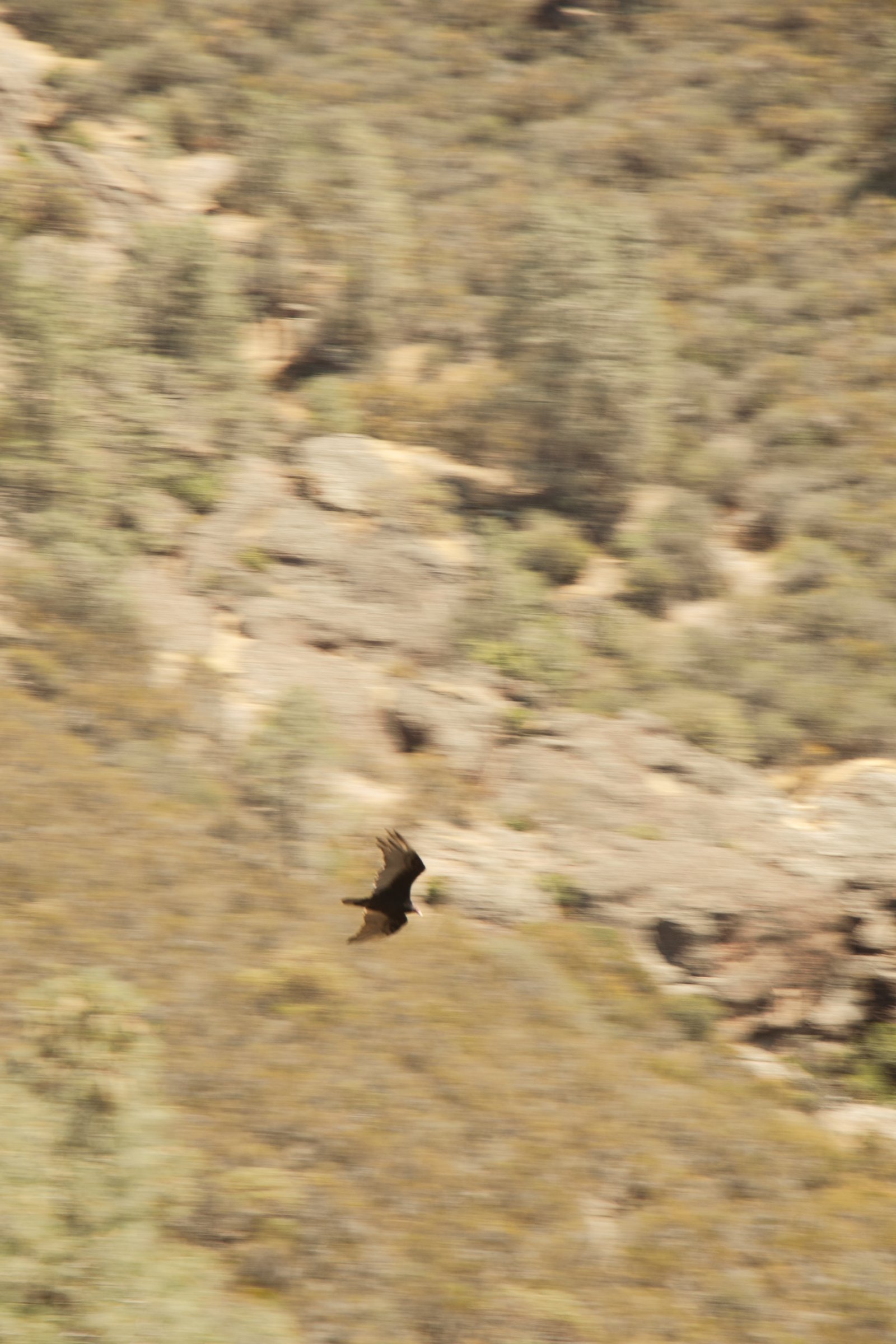 Photo by Harris Campbell