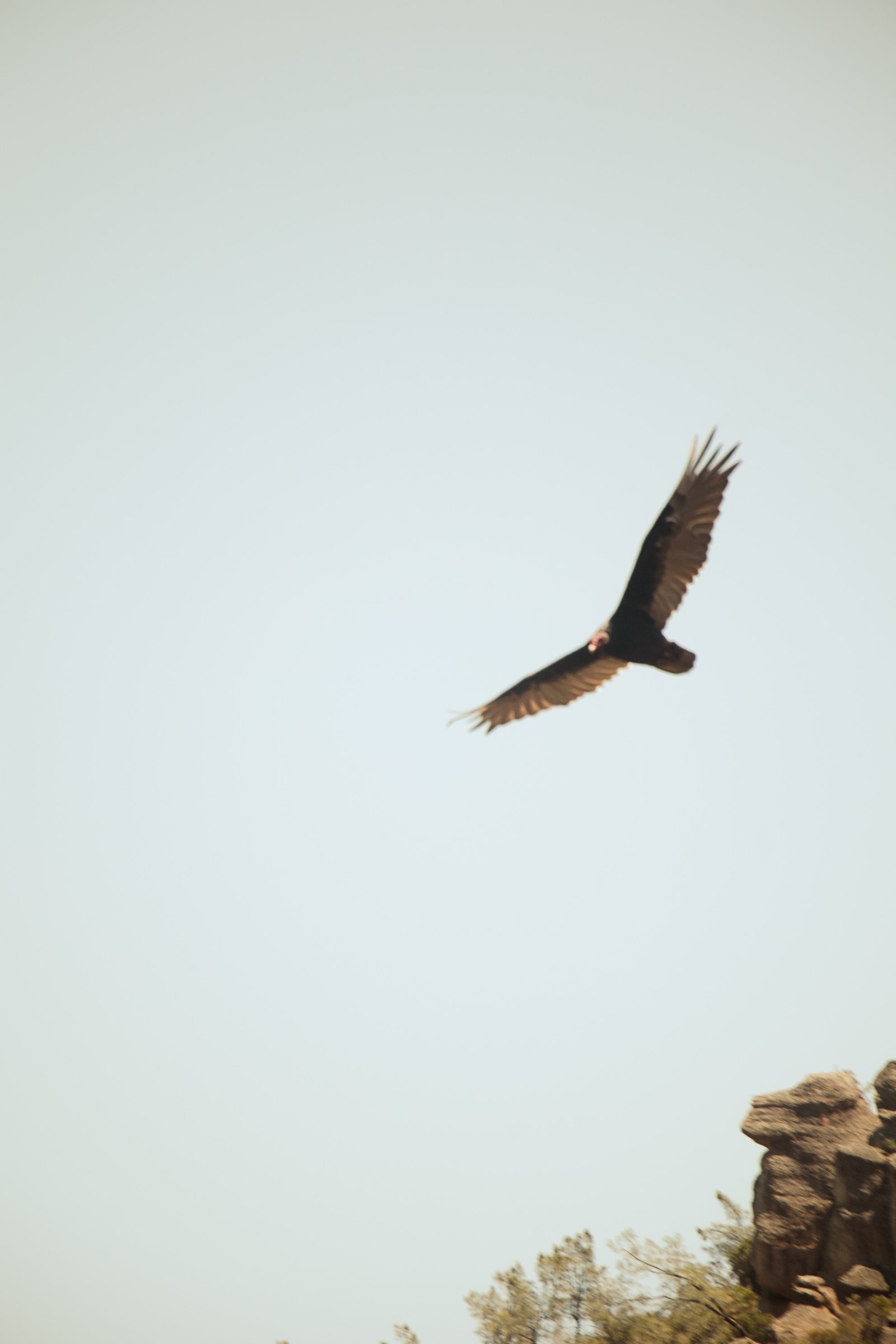 Photo by Harris Campbell